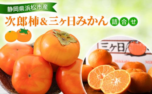 【2026年11月発送】 次郎柿＆三ヶ日みかん詰合せ 次郎柿9～12個 約2.5Kg 三ケ日みかん 約3Kg M～L 柿 かき みかん ミカン 蜜柑 セット商品 詰合せ フルーツセット フルーツ 果物 くだもの 静岡県 浜松市 2417985 - 静岡県浜松市