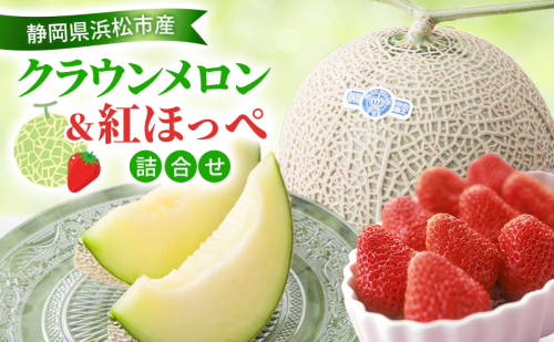 【2026年1月発送】 クラウンメロン＆紅ほっぺいちご 詰合わせ クラウンメロン1個約1.3Kg 白等級 紅ほっぺ いちご 約260g 1パック メロン イチゴ 苺 セット商品 【配送不可：離島】静岡 浜松市 2417986 - 静岡県浜松市