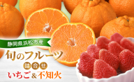 【2026年2月発送】 旬のフルーツ詰合せ いちご＆不知火 紅ほっぺまたはきらぴ香 約260g1パック 不知火4個約800g しらぬい デコ 苺 ミカン 【配送不可：離島】 フルーツセット 静岡 浜松市