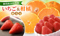【2026年2月発送】 いちご（紅ほっぺ・きらぴ香）＆柑橘（せとか・不知火）詰合せ 紅ほっぺ・きらぴ香（各1パック） せとか4個 不知火4個 しらぬい デコ 苺 ミカン【配送不可：離島】 静岡 浜松市