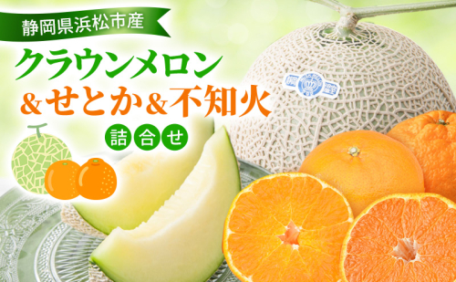 【2026年2月発送】クラウンメロン&せとか&不知火詰合せ クラウンメロン 1個 約1.3kg 白等級 せとか 4個 不知火 4個 しらぬい デコ メロン 柑橘 ミカン 蜜柑  静岡 浜松市  2417993 - 静岡県浜松市