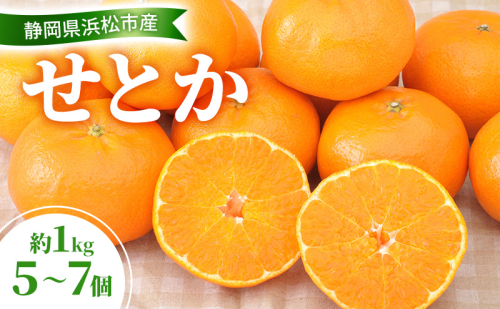 【2026年2月以降発送】せとか 約1Kg 5～7個 柑橘の最高峰 かんきつ 柑橘 みかん ミカン 蜜柑 人気 静岡 浜松市 2417994 - 静岡県浜松市
