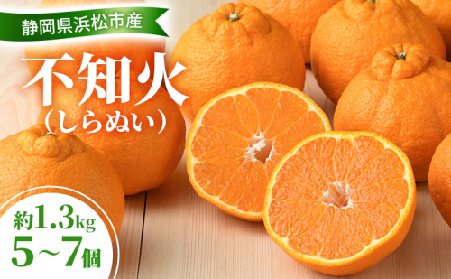 【2026年3月以降発送】 不知火 約1.3kg 5～7個 しらぬい デコ かんきつ 柑橘 みかん ミカン 蜜柑 フルーツ 静岡 浜松市 2417998 - 静岡県浜松市