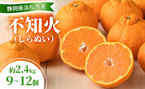 【2026年3月以降発送】 不知火 約2.4kg 9～12個 しらぬい デコ かんきつ 柑橘 みかん ミカン 蜜柑 フルーツ 静岡 浜松市 2417999 - 静岡県浜松市