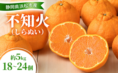 【2026年3月以降発送】 不知火 約5kg 18～24個  しらぬい デコ かんきつ 柑橘 みかん ミカン 蜜柑 フルーツ 静岡 浜松市 2418000 - 静岡県浜松市