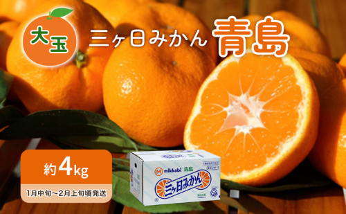 先行予約 青島みかん 大玉 約4kg 三ヶ日みかん 果物 くだもの フルーツ 旬の果物 旬のフルーツ みかん 蜜柑 ミカン 三ヶ日 青島 柑橘 柑橘類 静岡 静岡県 浜松市 2418001 - 静岡県浜松市