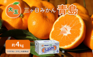 先行予約 青島みかん 大玉 約4kg 三ヶ日みかん 果物 くだもの フルーツ 旬の果物 旬のフルーツ みかん 蜜柑 ミカン 三ヶ日 青島 柑橘 柑橘類 静岡 静岡県 浜松市