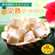 2027年 先行予約 西表島の完熟ピーチパイン 9kg (8～12玉)【嘉本商店 完熟 果物 フルーツ】お届け：5月中旬～6月中旬頃 [042-a005-2027]