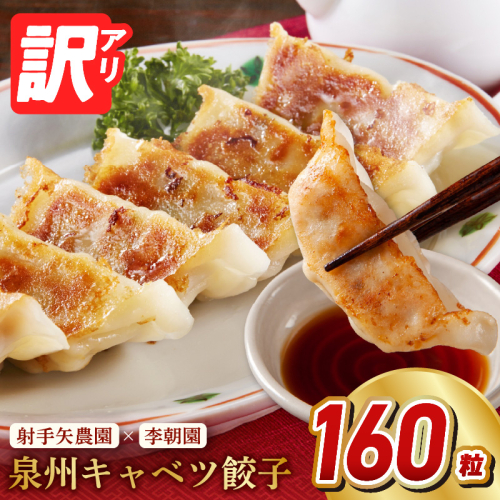 【訳アリ】泉州キャベツ餃子160粒【射手矢農園×李朝園 生餃子 手作り ぎょうざ ギョーザ 惣菜 冷凍 焼くだけ 簡単調理 フードロス削減】 099H4138-1 2418140 - 大阪府泉佐野市