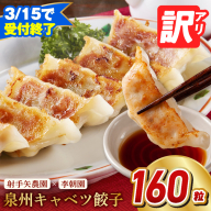 【3月15日受付終了】泉州キャベツ餃子160粒【訳あり フードロス削減 生餃子 手作り ぎょうざ ギョーザ 惣菜 冷凍 焼くだけ 簡単調理】 099H4138-1