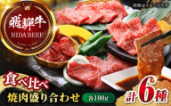【8月発送】【飛騨牛】食べ比べ 焼肉盛り合わせ6種 各100g / 飛騨牛 ひだぎゅう 焼肉 やきにく 牛肉 和牛 ミスジ イチボ 飛騨牛 岐阜市/丸福商店  [ANBO027-8]