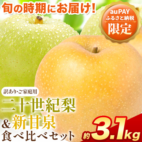 【auPAYふるさと納税限定】梨 なし 二十世紀梨 新甘泉 食べ比べセット 約3.1kg《2026年8月下旬-9月下旬頃出荷》二十世紀梨 梨 ご家庭用 旬 二十世紀 鳥取県 八頭町 なし 果物 フルーツ 特産品 送料無料 デザート【2026年先行予約】 2418384 - 鳥取県八頭町