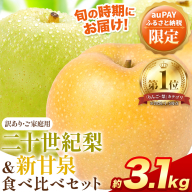 【auPAYふるさと納税限定】梨 なし 二十世紀梨 新甘泉 食べ比べセット 約3.1kg《2026年8月下旬-9月下旬頃出荷》二十世紀梨 梨 ご家庭用 旬 二十世紀 鳥取県 八頭町 なし 果物 フルーツ 特産品 送料無料 デザート【2026年先行予約】
