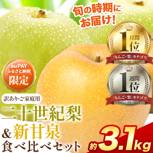 【auPAYふるさと納税限定】梨 なし 二十世紀梨 新甘泉 食べ比べセット 約3.1kg《2026年8月下旬-9月下旬頃出荷》二十世紀梨 梨 ご家庭用 旬 二十世紀 鳥取県 八頭町 なし 果物 フルーツ 特産品 送料無料 デザート【2026年先行予約】 2418384 - 鳥取県八頭町