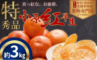 極撰！真っ赤なみかんの小原紅早生 約3kg 果物 フルーツ 柑橘 デザート おやつ 食後 国産 日本産 産地直送 香川オリジナル品種 食べ物