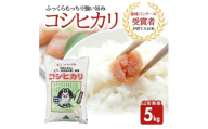 令和7年産【精米】コシヒカリ　5kg(5kg×1袋) JS SA2814