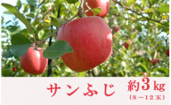 No.0151あづま果樹園  りんご「サンふじ」約3kg【2024年度発送】