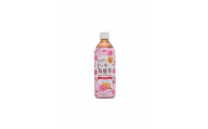 サーフ　ピーチ烏龍茶　500ml×24本【1656656】