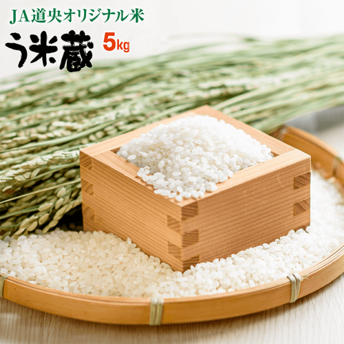 北海道う米蔵5kg【290026】 2418664 - 北海道恵庭市