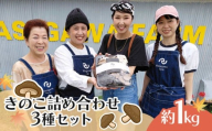 きのこ 詰め合わせ セット 3種 約1kg ひらたけしめじ エリンギ ヒラタケ プルーロット 野菜 エリンギ バター きのこ ご飯