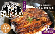 【2025年12月～順次発送】うなぎ蒲焼 1人前 1尾 冷蔵 三島名物 老舗 鰻問屋 うなぎ 蒲焼き 鰻 ウナギ 真空パック 浜名湖 土用丑の日 贈答用 惣菜 うな重 うな丼 伝統 贈り物 鰻料理 ウナギの蒲焼 和食 浜名湖うなぎ 山本実生商店 三島市 静岡県