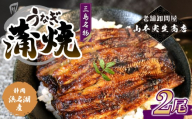 【2025年12月～順次発送】うなぎ蒲焼 2人前 2尾 冷蔵 三島名物 老舗 鰻問屋 うなぎ 蒲焼き 鰻 ウナギ 真空パック 浜名湖 土用丑の日 贈答用 惣菜 うな重 うな丼 伝統 贈り物 鰻料理 ウナギの蒲焼 和食 浜名湖うなぎ 山本実生商店 三島市 静岡県