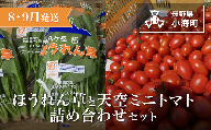 わたらい農場　ほうれん草・天空ミニトマト詰め合わせセット| 野菜 新鮮 旬 新鮮 高原野菜 根菜 【 2026年発送 先行予約 】