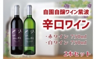 AL045-1 自園自醸ワイン紫波　辛口ワイン2本セット