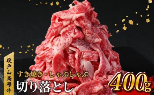 9月発送★国産ブランド牛 切り落とし 400g (200g×2） 小分け 段戸山高原牛 幻 牛 国産 牛肉 牛 スライス 地域 限定 小分け 大満足 赤身 肉 数量限定 肉 牛肉切り落とし 牛切り落とし 国産牛 ブランド牛 5000円 -070