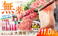 【12回定期便】 あんしん豚 豚肉大満喫コース 計11.04kg 味噌漬け ソーセージ ウインナー ロース カタ モモ しゃぶしゃぶ しゃぶしゃぶ用 塩豚 ヒレ肉 味付き 無薬育ち 薬不使用 肩ロース カタロース 豚カタロース セット 定期便 テキカツ 小間切れ ミンチ 挽き肉 大容量 ブランド豚 大容量 国産 国産豚肉 10万7千円 107000円 白川町 / 藤井ファーム [AWAF074]