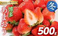 博多 あまおう《冬》 (計500g・250g～270g×2パック) いちご イチゴ 苺 ストロベリー 果物 フルーツ おやつ デザート 冷蔵 アマオウ 旬 小分け 【農産物直売所ほたるの里】as52-005