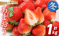 博多 あまおう《冬》 (計1kg・250g～270g×4パック) いちご イチゴ 苺 ストロベリー 果物 フルーツ おやつ デザート 冷蔵 アマオウ 旬 小分け 【農産物直売所ほたるの里】as52-006