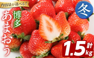 博多 あまおう《冬》 (計1.5kg・250g～270g×6パック) いちご イチゴ 苺 ストロベリー 果物 フルーツ おやつ デザート 冷蔵 アマオウ 旬 小分け 【農産物直売所ほたるの里】as52-007