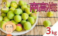【秀品】南高梅 青梅 約3kg (＋保証100g) 2L以上 カキエモン農園 【2026年6月上旬～6月中旬頃順次発送】 和歌山産 梅干し 梅酒 梅シロップ 果実 うめ 梅 ウメ カキエモン 農園 送料無料 なんこううめ なんこうばい なんこう梅 加工用 家庭用 紀州【BX-kkem009】