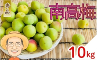 【秀品】南高梅 青梅 約10kg (＋保証100g) 2L以上 カキエモン農園 【2026年6月上旬～6月中旬頃順次発送】 和歌山産 梅干し 梅酒 梅シロップ 果実 うめ 梅 ウメ カキエモン 農園 送料無料 なんこううめ なんこうばい なんこう梅 加工用 家庭用 紀州【BX-kkem011】