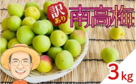 【訳あり】南高梅 青梅 約3kg (＋保証100g) サイズ不揃い カキエモン農園 【2026年6月上旬～6月中旬頃順次発送】 和歌山産 梅干し 梅酒 梅シロップ 果実 うめ 梅 ウメ カキエモン 農園 送料無料 なんこううめ なんこうばい なんこう梅 加工用 家庭用 紀州【BX-kkem012】