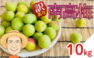 【訳あり】南高梅 青梅 約10kg (＋保証100g) サイズ不揃い カキエモン農園 【2026年6月上旬～6月中旬頃順次発送】 和歌山産 梅干し 梅酒 梅シロップ 果実 うめ 梅 ウメ カキエモン 農園 送料無料 なんこううめ なんこうばい なんこう梅 加工用 家庭用 紀州【BX-kkem014】