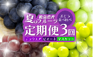 フルーツ 定期便 全3回 シャインマスカット ピオーネ デラウエア ぶどう 巨峰 ギフト 果物 夏 徳島県産 産地直送 新鮮 食べ比べ 3ヶ月