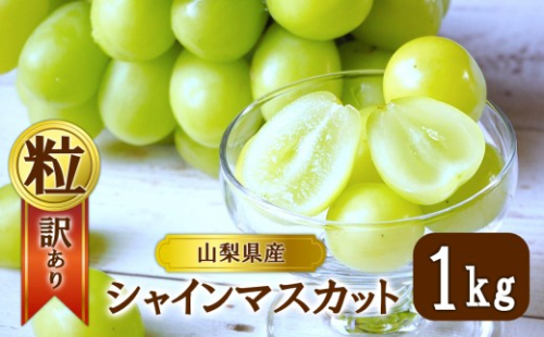 【2026年発送】シャインマスカット 訳あり家庭用 粒 にてお届け 約1kg 2420597 - 山梨県大月市