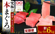 [定期便 6回]本マグロ 赤身 中トロ 大トロ 3種 セット 6kg ( 1kg × 全6回 )