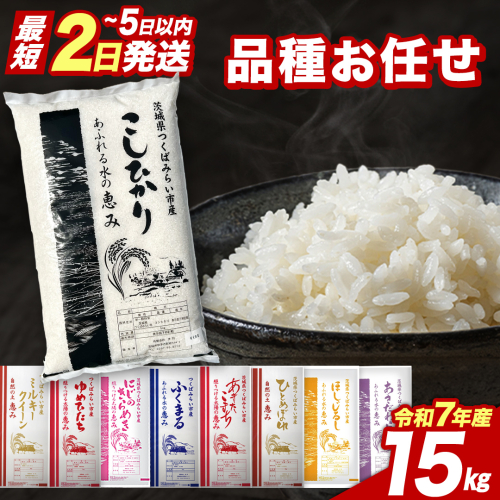 【 最短2日 スピード発送！】 品種おまかせ 15kg 茨城県つくばみらい市産 精米 こしひかり コシヒカリ あきたこまち ひとめぼれ ふくまる ゆめひたち ミルキークイーン にじのきらめき 即納 米 コメ こめ 単一米 限定 茨城県産 国産 美味しい お米 おこめ おコメ [CL265-NT] 2420846 - 茨城県つくばみらい市