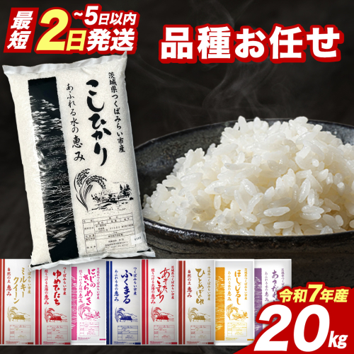 【 最短2日 スピード発送！】 品種おまかせ 20kg 茨城県つくばみらい市産 精米 こしひかり コシヒカリ あきたこまち ひとめぼれ ふくまる ゆめひたち ミルキークイーン にじのきらめき 即納 米 コメ こめ 単一米 限定 茨城県産 国産 美味しい お米 おこめ おコメ [CL266-NT] 2420847 - 茨城県つくばみらい市
