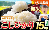 【9ヶ月定期便】令和7年産 新米 白米 こしひかり 15kg《お申込みの翌月出荷》熊本県産 ふるさと納税 白米 精米 ひの 米 こめ ふるさとのうぜい コシヒカリ コメ お米 おこめ