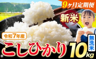【9ヶ月定期便】令和7年産 新米 無洗米 こしひかり 10kg《お申込みの翌月出荷》熊本県産 ふるさと納税 無洗米 ひの 米 こめ ふるさとのうぜい コシヒカリ コメ お米 おこめ