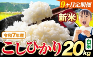 【9ヶ月定期便】令和7年産 新米 白米 こしひかり 20kg《お申込みの翌月出荷》熊本県産 ふるさと納税 白米 精米 ひの 米 こめ ふるさとのうぜい コシヒカリ コメ お米 おこめ
