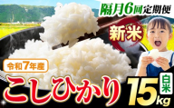 【隔月6回定期便】令和7年産 新米 白米 こしひかり 15kg《お申込みの翌月出荷》熊本県産 ふるさと納税 白米 精米 ひの 米 こめ ふるさとのうぜい コシヒカリ コメ お米 おこめ