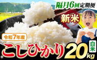 【隔月6回定期便】令和7年産 新米 白米 こしひかり 20kg《お申込みの翌月出荷》熊本県産 ふるさと納税 白米 精米 ひの 米 こめ ふるさとのうぜい コシヒカリ コメ お米 おこめ