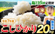 【隔月6回定期便】令和7年産 新米 無洗米 こしひかり 20kg《お申込みの翌月出荷》熊本県産 ふるさと納税 無洗米 ひの 米 こめ ふるさとのうぜい コシヒカリ コメ お米 おこめ