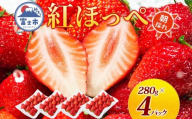 期間限定 富士市産 いちご 紅ほっぺ 約280g×4p 朝どれ 新鮮いちご 糖度が高い 甘み 香り 凝縮 酸味 ジューシー ほっぺが落ちる 人気 果物 フルーツ 旬 ギフト 贈り物 【配送不可地域：沖縄・離島】[sf123-002]