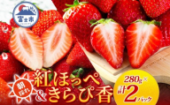期間限定 富士市産 いちご 2種セット 紅ほっぺ きらぴ香 各1P (1P約280g入) 食べ比べ 朝どれ 新鮮 高糖度 甘み 香り 酸味 ジューシー 人気 果物 フルーツ 旬 ギフト 贈り物 【配送不可地域：沖縄・離島】 [sf123-005]